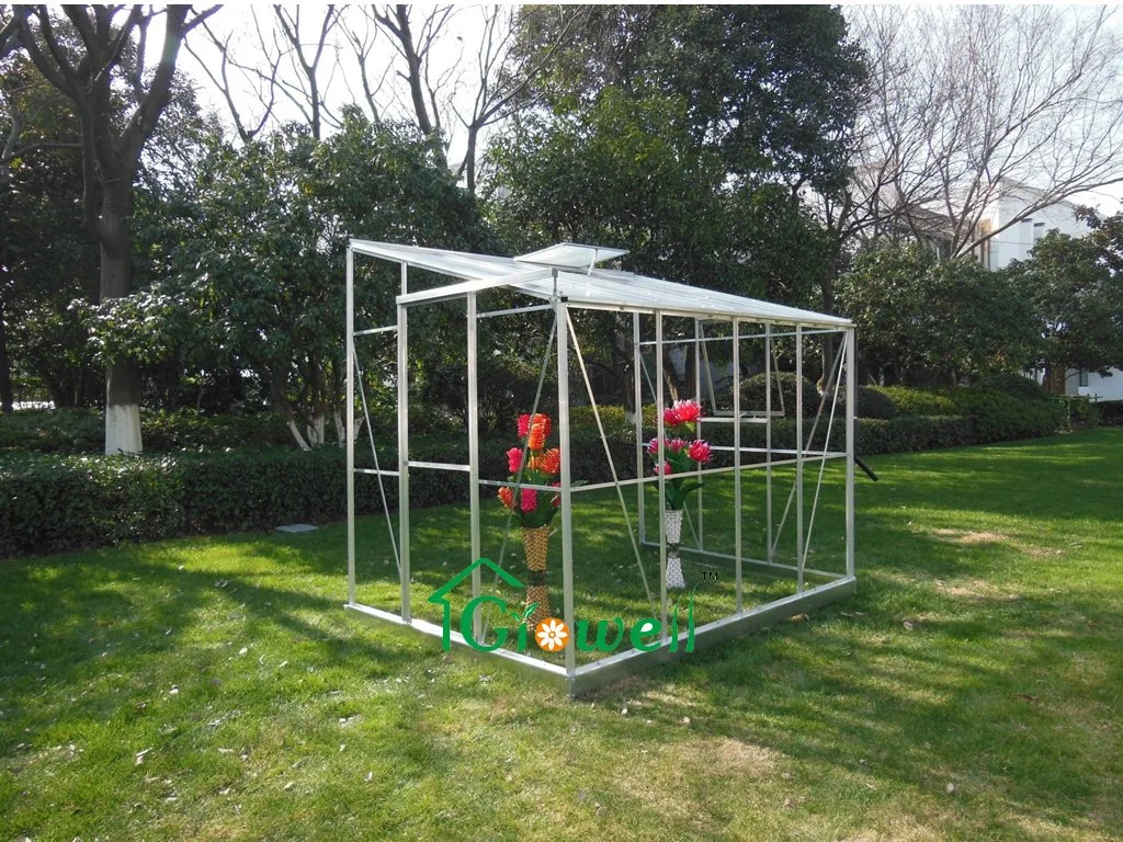 Walk in Greenhouse Lsg608 New Lean to Design