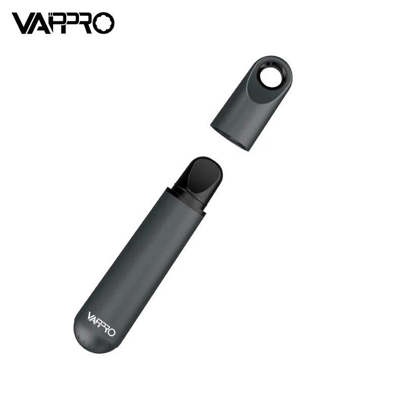 New Coming Style Disposable/Chargeable Vape Pod 400mAh Battery Capacity Anti-Leaking Unique Dustproof Device D03