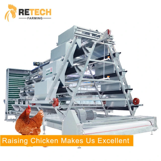 Hot Selling Classic A Type Automatic Chicken egg laying Equipment