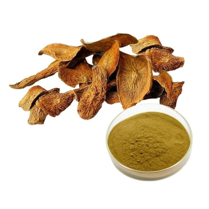 High Quality Arctium Lappa Extract