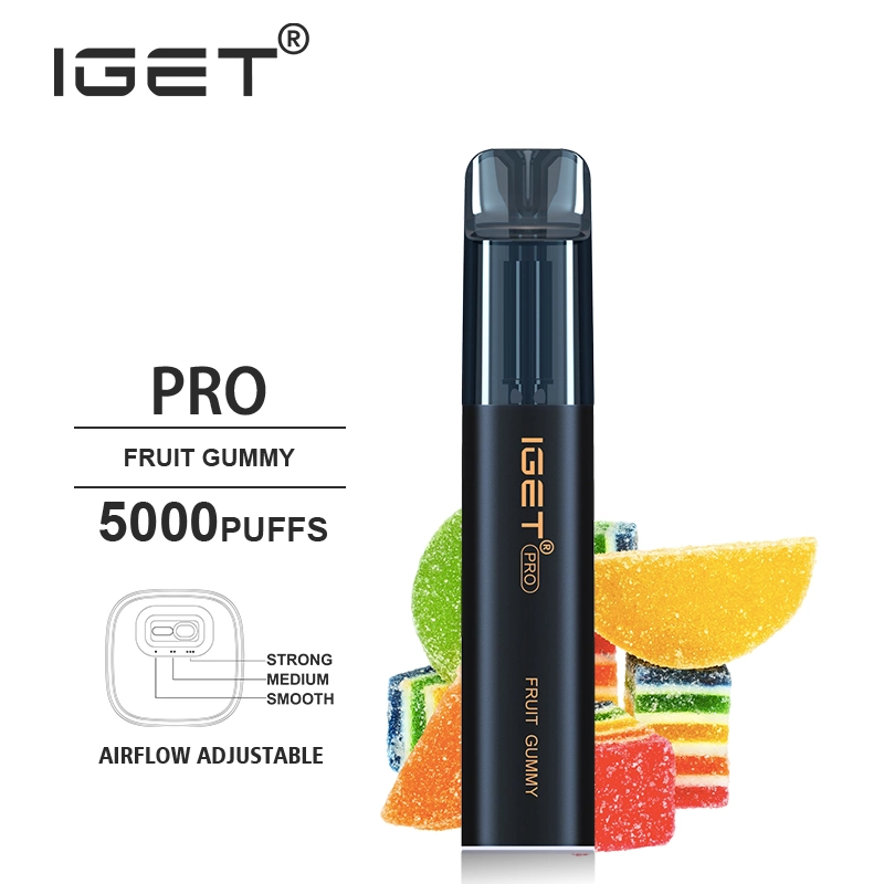 2022 Wholesale/Supplier Disposable/Chargeable Vape Pen Iget PRO 5000puffs