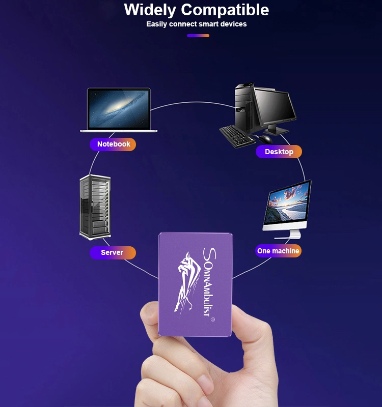 Somnambulist Gjs08 SSD 2tb 120GB 240GB 480GB 2tb SSD HDD 2.5 Drive SSD SATA 960GB Internal Solid State Drive for or Laptop