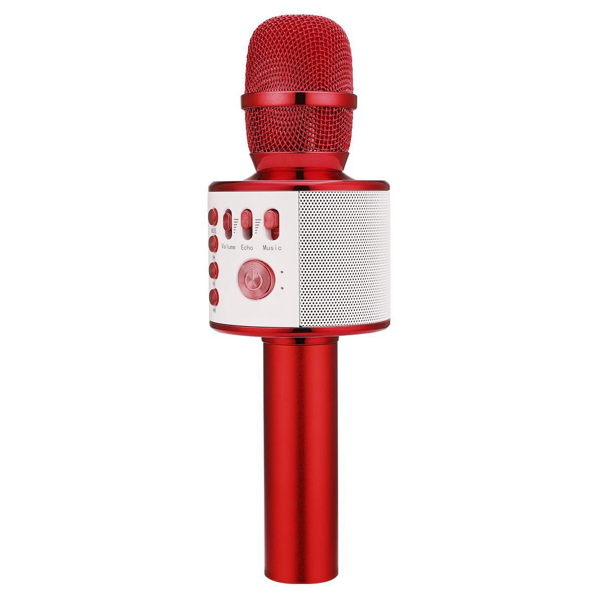 Portable Microphone and Speaker for Muisc Playing and Singing