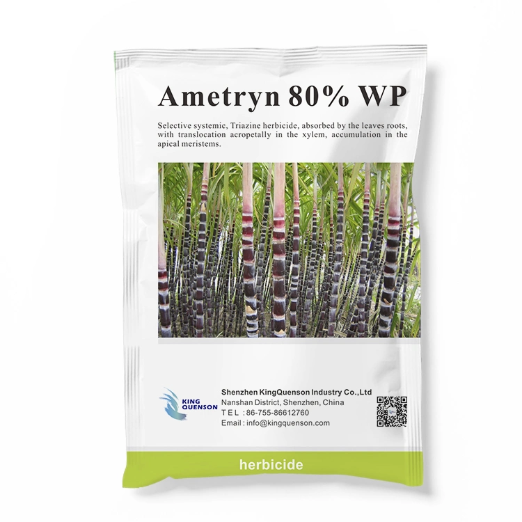 Entrega rápida de Controle de Erva Ametryn 80% Wp herbicida em pó