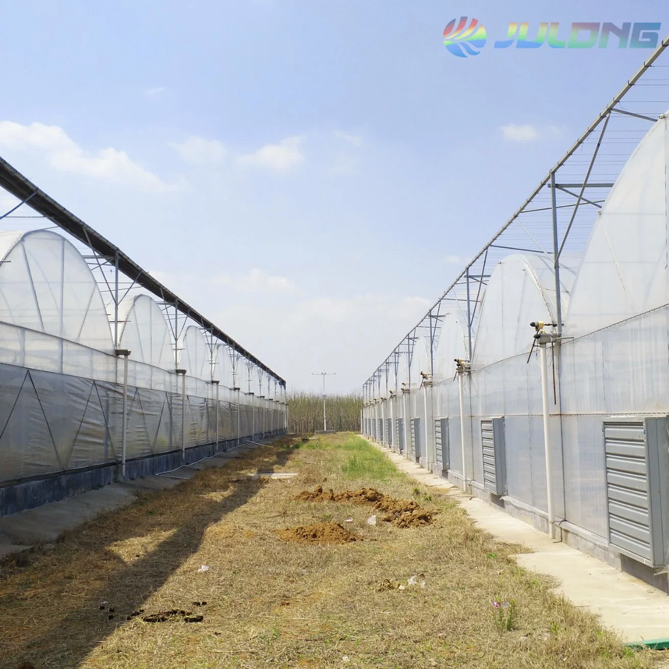 China Agriculture Multi-Span Hydroponics Greenhouse for Vegetables Flower Tomato Farming