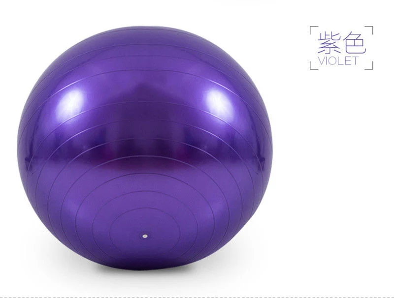 65cm Woman Yoga Ball Bola Pilates Fitness Gym Balance Exercise Ball
