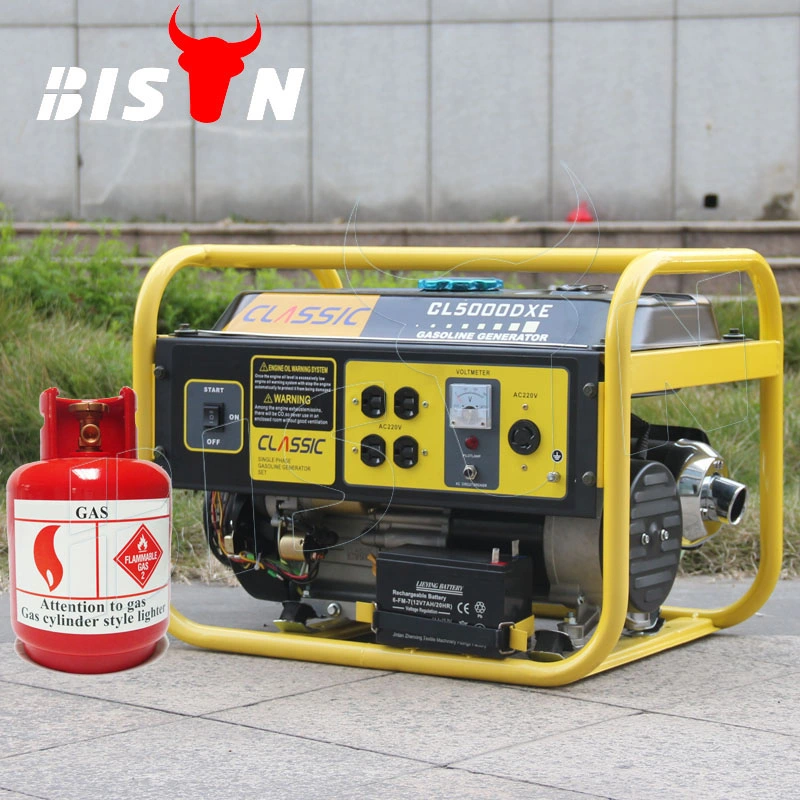 Bison Sale Factory Price Small Portable Mini Gas Generator