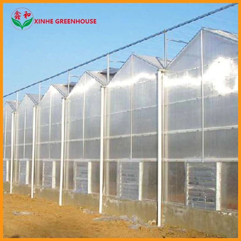 PC Board (Polycarbonate) Hydroponic Growing Green Polycarbonate Sheet Multispan House Greenhouse
