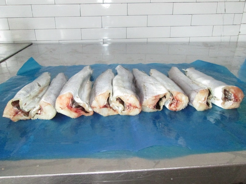 Frozen Southern Blue Whiting Fish Fillet