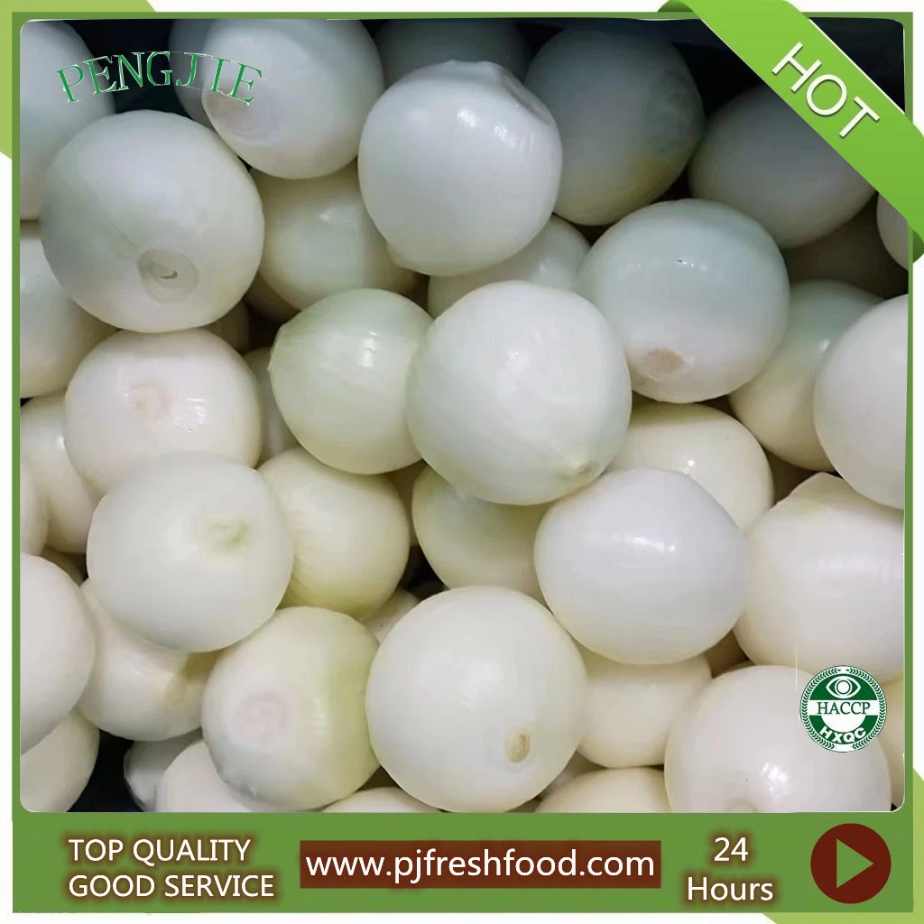 Frozen Food Frozen Peeled Onion Strips IQF White Slices/Dices/Chunk Onion for Exporting