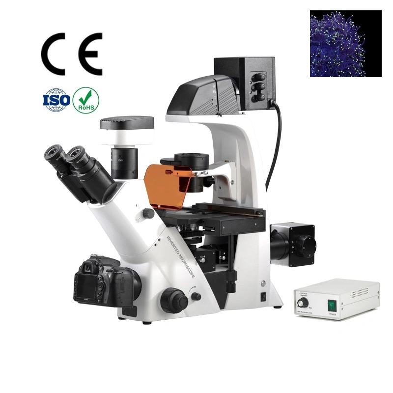 Inverted Fluorescence Microscope with Dual Photo & Video Channel Support Eyepiece / Digital Camera