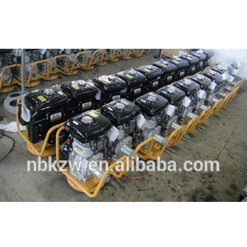 Professional Diesel Water Pump (DWP-20C) for Sale