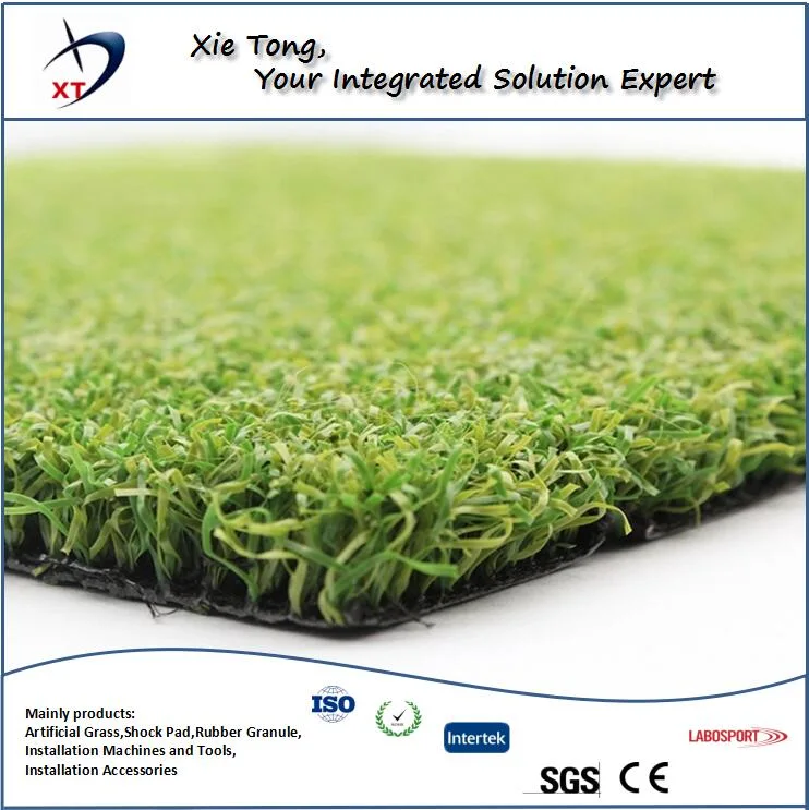 Fitness Gym 12mm 58800st PE Artificial Turf Grass Carpet