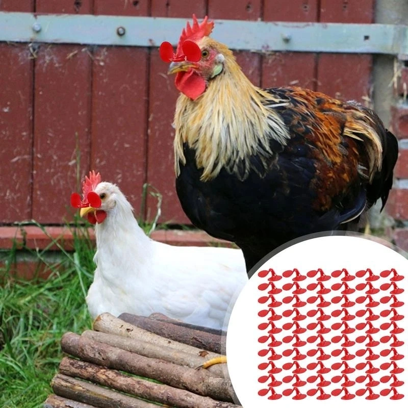 Lunettes de poulet anti-pecking sans broche fournitures de poulet avec boulon durable Outil sans broche pour coq de poule avec boulon