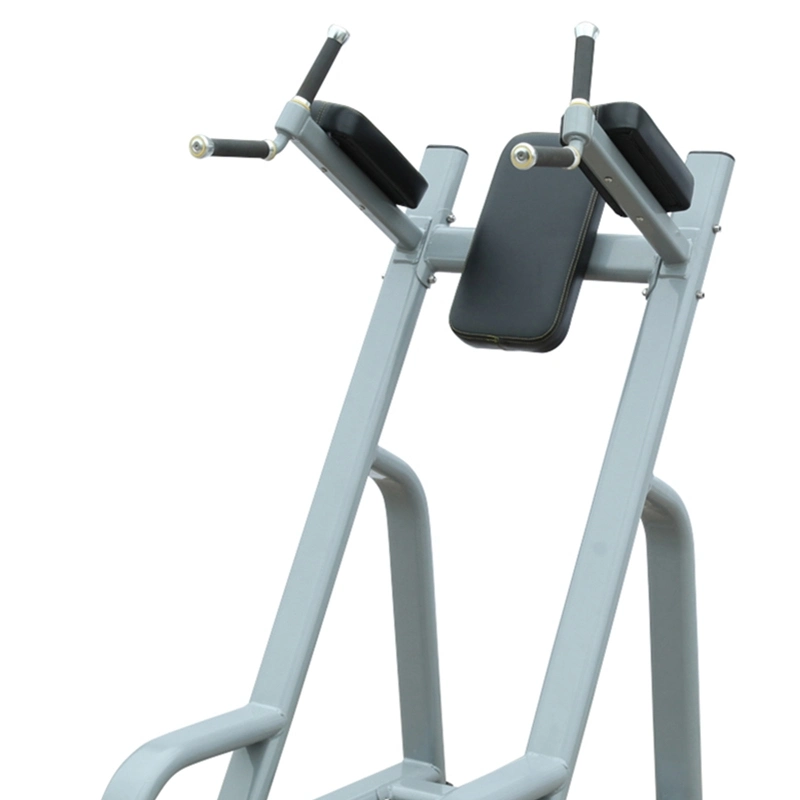 Best Exercise Fitness Equipment Vertical Kness up/DIP for Gym (AXD-8047)