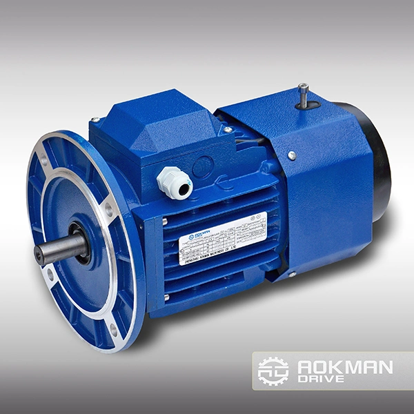 Trois phase moteur de frein électrique asynchrone