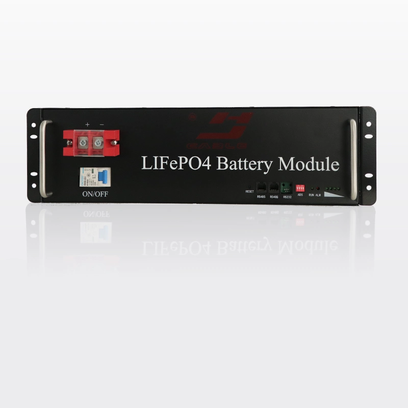 L'énergie solaire de stockage de la Banque de la batterie au lithium-ion 48V 50Ah 100AH Pack de Batterie LiFePO4 pour onduleur Ess Système d'alimentation