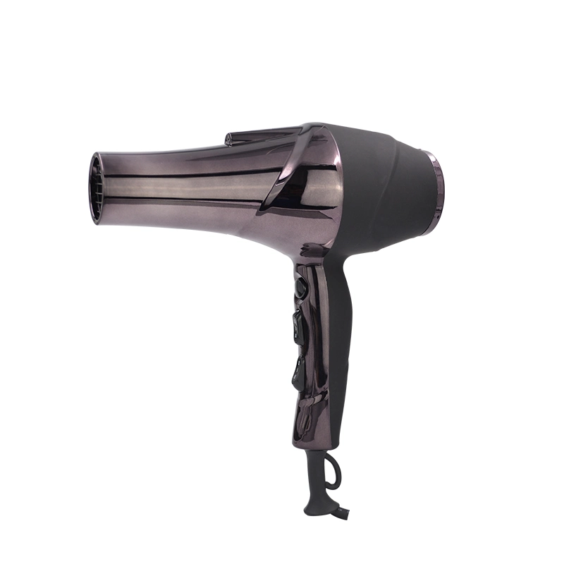 Hot Selling Salon Professional Salon Hair Dryer Electric Hair Drier with Diffuser