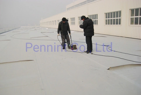 60mil Thermoplastic Tpo Waterproof Membrane