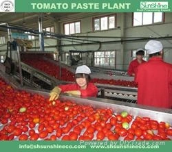 30-32% Hot Break Tomato Paste in Drum