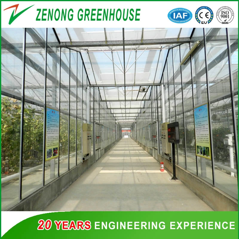 Intelligent Glass Greenhouse with Inside Shading Net for Vegetables/Seeding/Fruits