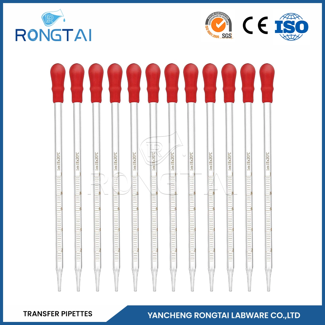 Rongtai 1 Ml Transfer Pipette Suppliers 5ml 100ml Glass Pipette China 2ml Pasteur Pipette