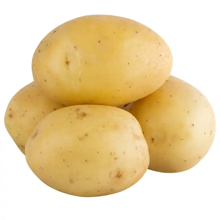 Organic Fresh Potatoes From China High quality/High cost performance Yellow Color Weight Long Shape Fresh Vegetable Potato