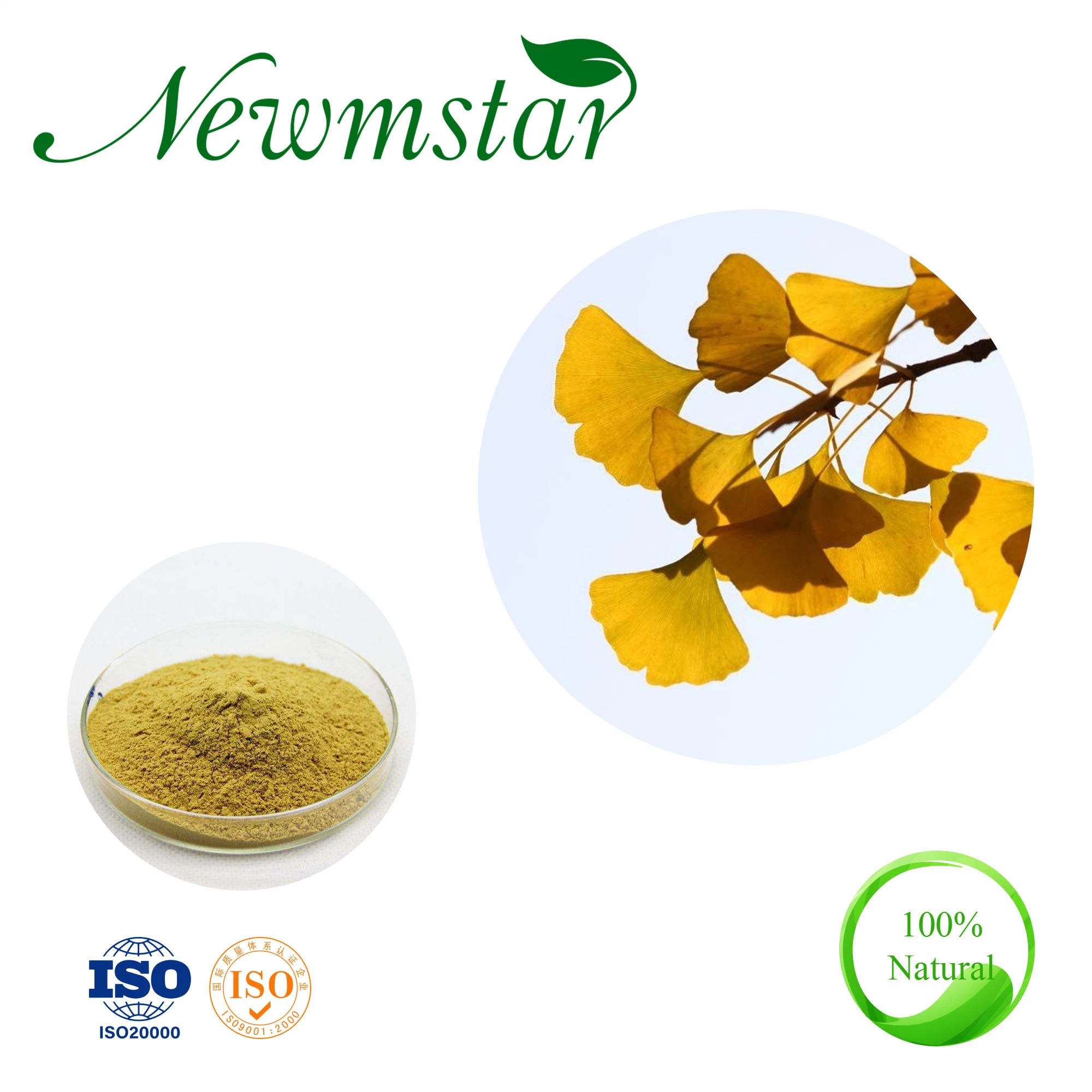 Solubilidade em água Ginkgo Biloba Leaf extrato de folhas Gingko Flavone Heterósidos 24/6 em pó