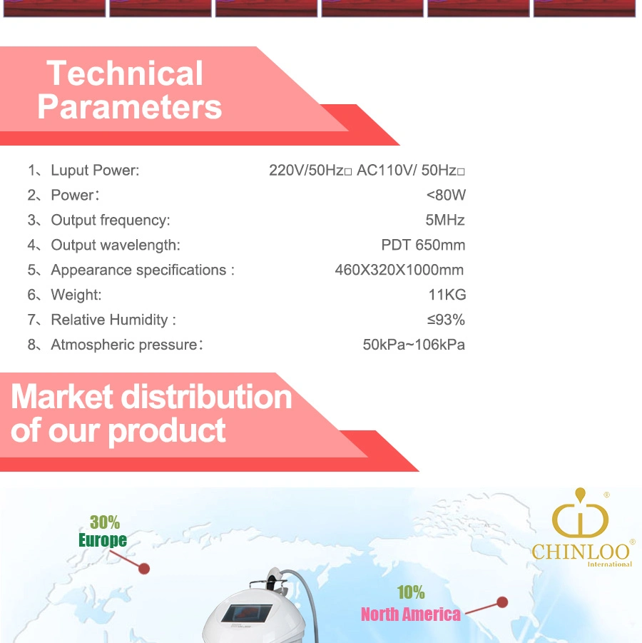 Best Fractional RF System Skin Care Beauty Equipment for Sale with Ex-Factory Price (MR20-1SP)