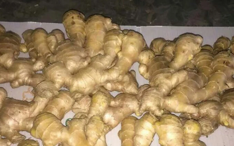 Big Size Air Dry Fresh Ginger