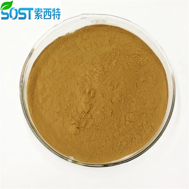 100% Pure High Quality Natural Alisma Extract