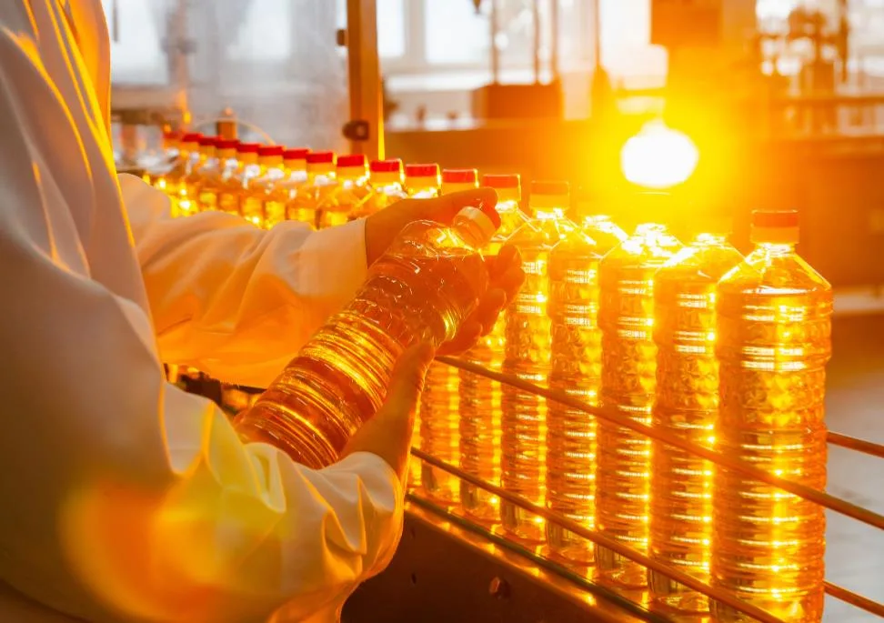 Machine de remplissage, d'étiquetage et d'emballage de bouteilles d'huile de tournesol comestible Llenadora Embotelladora De Aceite, Embotelladora