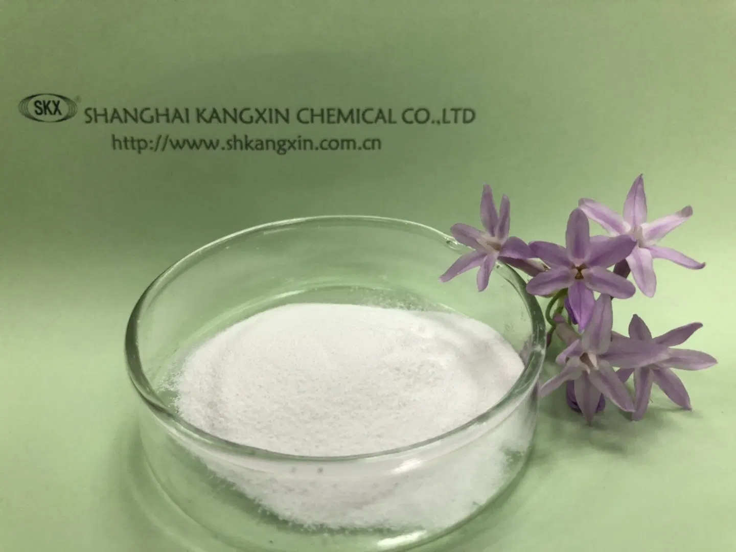 High Purity Betaine Momnohydrate 590-47-6with Fast Delivery