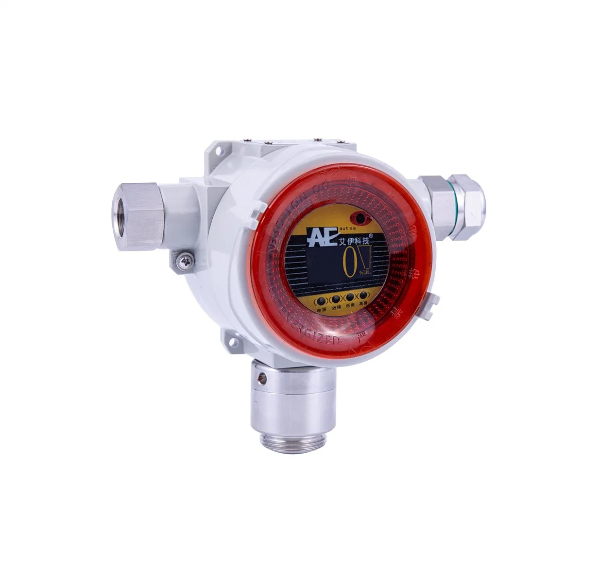 Factory Price Fixed Co Gas Alarm Device Fixed Wall Mounted Type Co Gas Alarm with Sound & Light Alarm