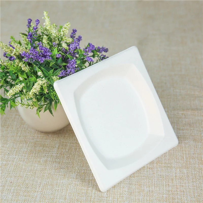 Biodegradable Dinner Plate Sugarcane Bagasse Pulp Plates Restaurant Disposable Square Tray