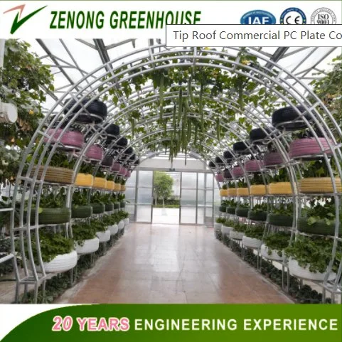 Multi-Span Hot Galvanized Steel Structure PC/Glass Greenhouse for Agriculture/Cultivation/Planting Vegetables