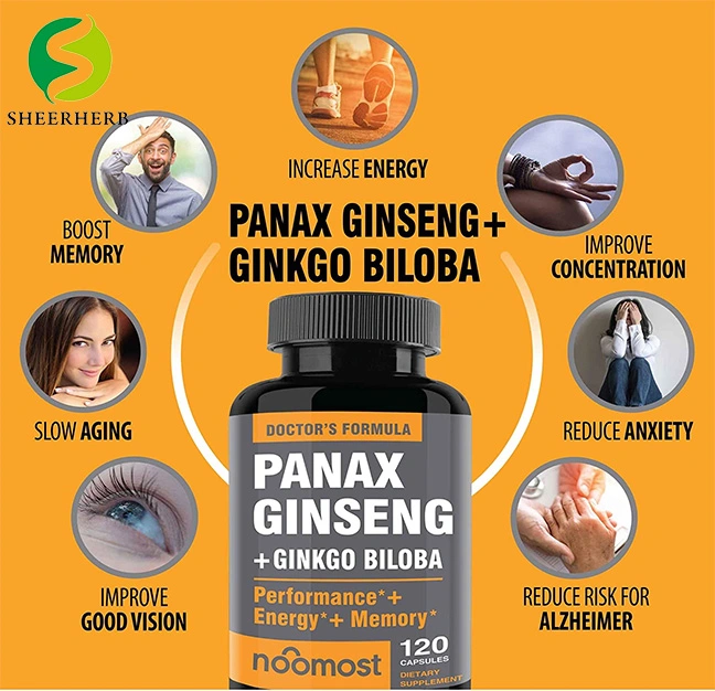 Extracto de planta Natural OEM Extracto de Ginseng Americano (raíz) con bajo Residuos de pesticidas Herb Herbal