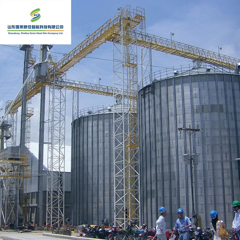 Granja de cerdos de aves de corral de alimentación utiliza almacenamiento molino de grano de acero de silo de fondo plano.