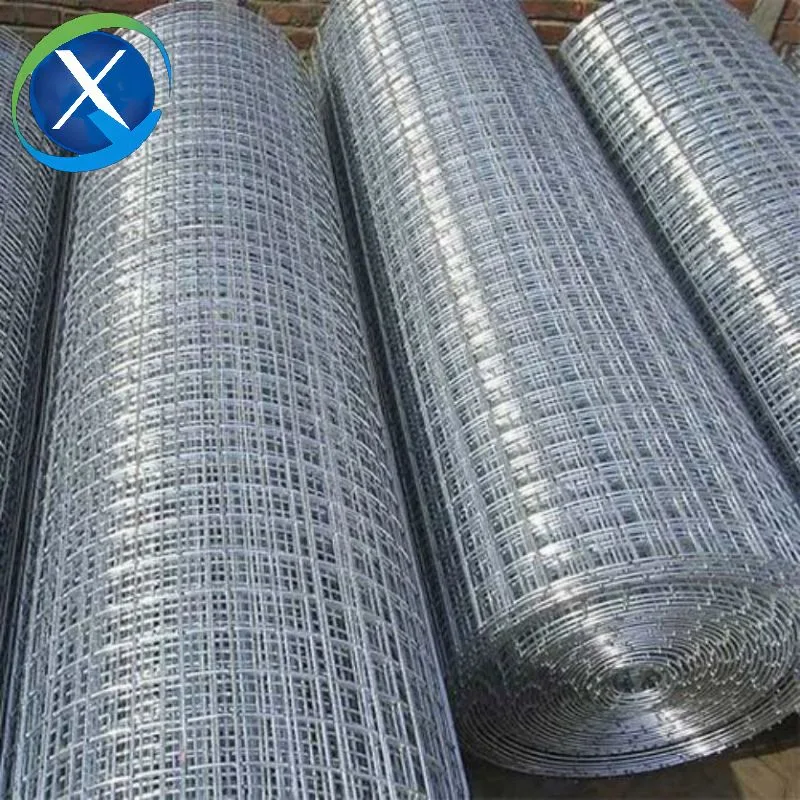 10 12 14 16 gauge Galvanizado en caliente de malla de alambre soldado Precio