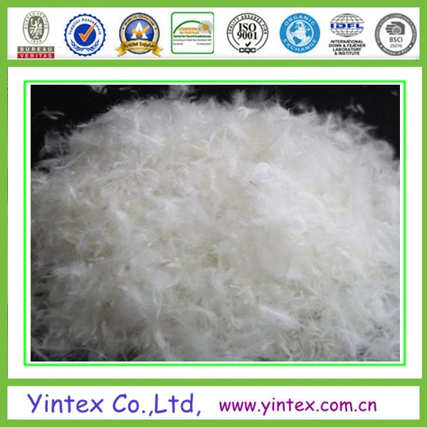 20% Down 80% White Duck Feather Low Price White Duck Down Feathers Wholesale