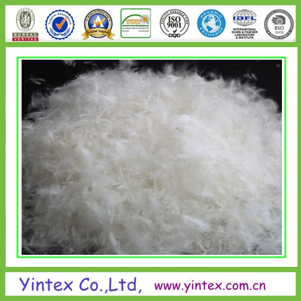 20% Down 80% White Duck Feather Low Price White Duck Down Feathers Wholesale/Supplier