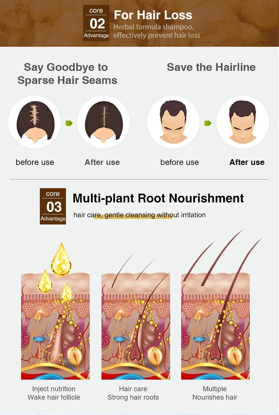 Le gingembre de traitement des cheveux lisses de la Lotion Shampooing de réparation