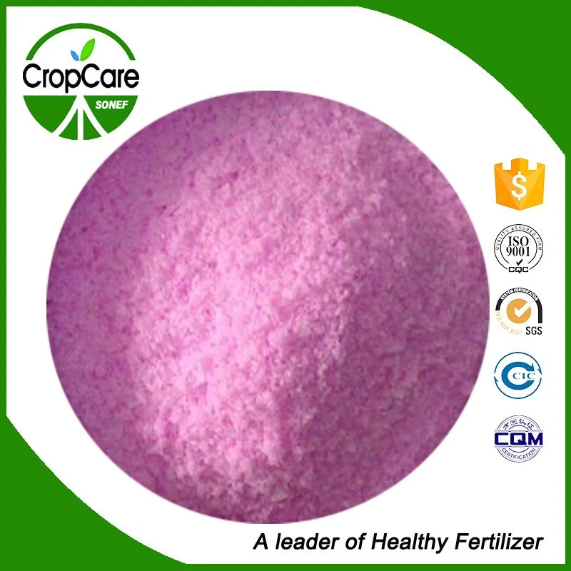 Granullar Urea NPK 16-16-8 Wsf Chemical Compond Fertilzier for Crop Field