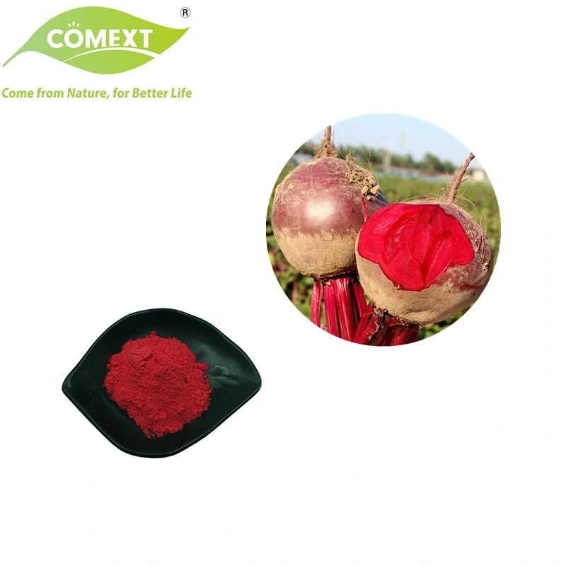 Comext China Factory Hot Belling Beet Root 4: 1 10: 1 Extract Powder 25% Betaine for Health Product