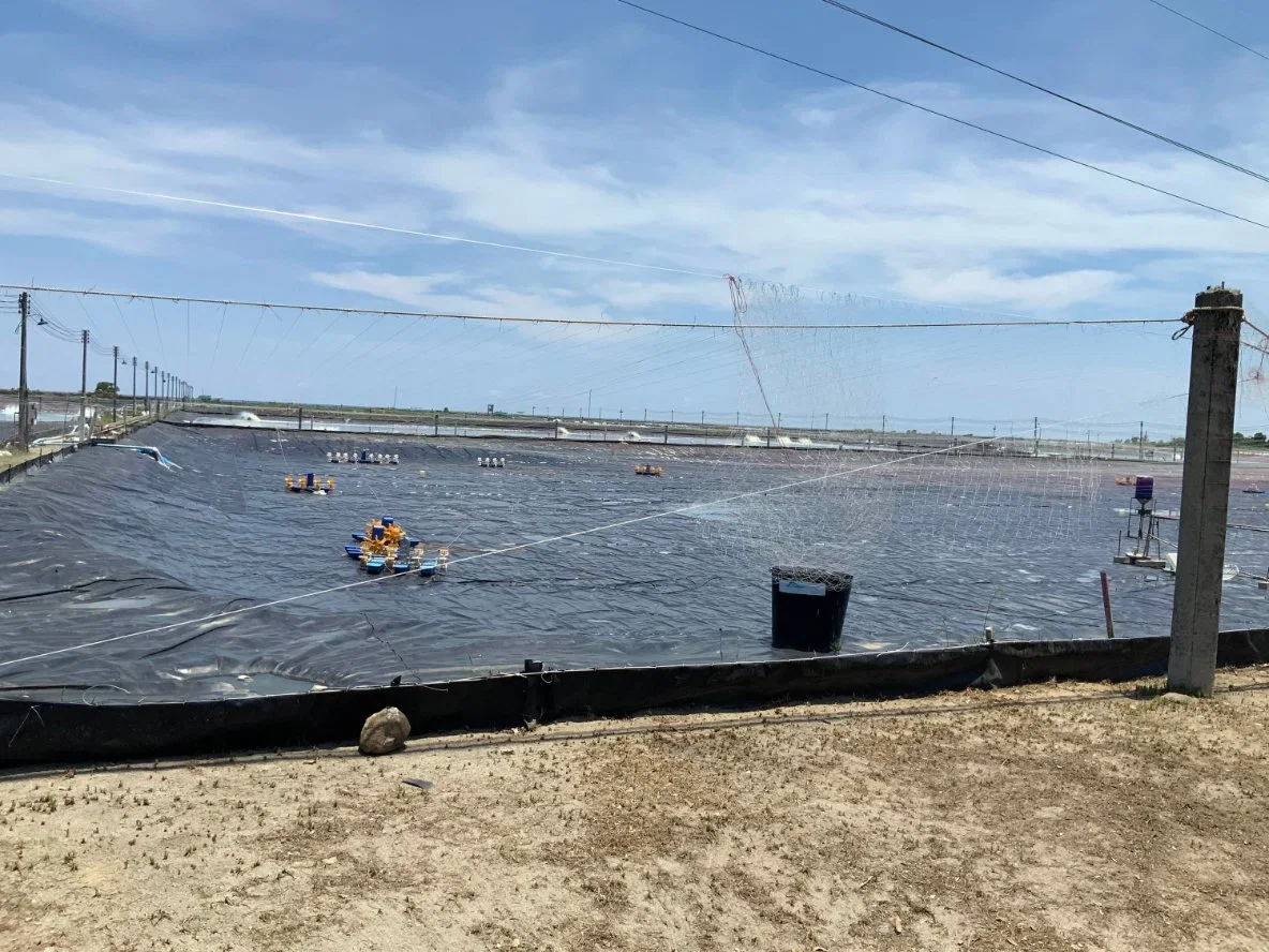 ASTM Polietileno de alta densidad suave resistente al agua peces Geomembrana Pond Liner