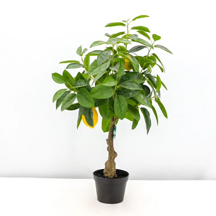 New Items Home Eco Friendly Artificial Plants Bonsai Lemon Tree Plastic 70 Cm Sample Available