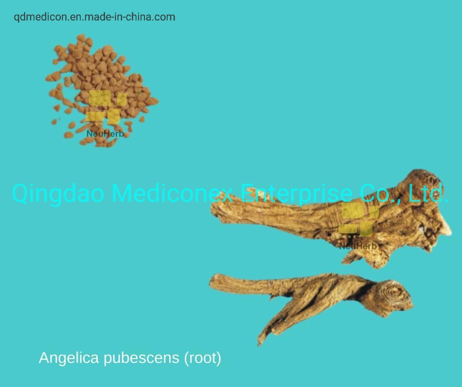 Angelica Pubescens (root) Prepared Trditional Chinese Herbal Medicine Concentrated Granule Arthrities