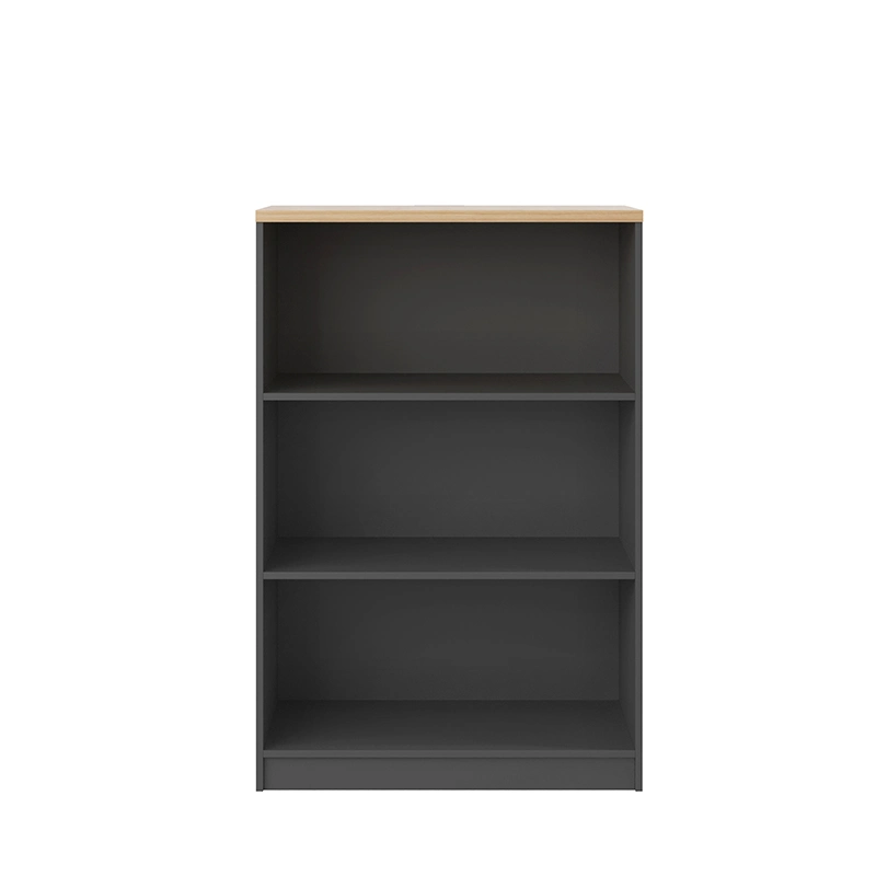 Classic Modern Wooden File Cabinet Cupboard Furniture Bookcase Office Book Shelves with Door