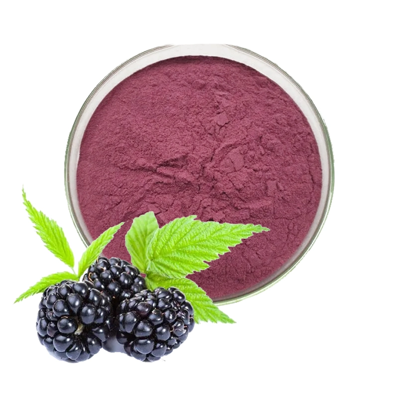 Organic Rubus Plicatus Blackberry Extract Blackberry Fruit Powder for Superfood