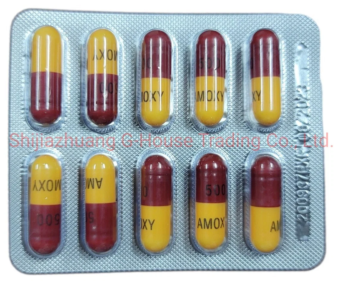 Amoxicilina cápsulas de medicamentos drogas farmacêuticas